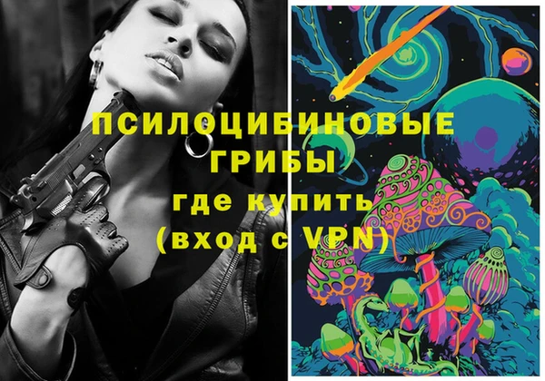 ГАЛЛЮЦИНОГЕННЫЕ ГРИБЫ Арсеньев