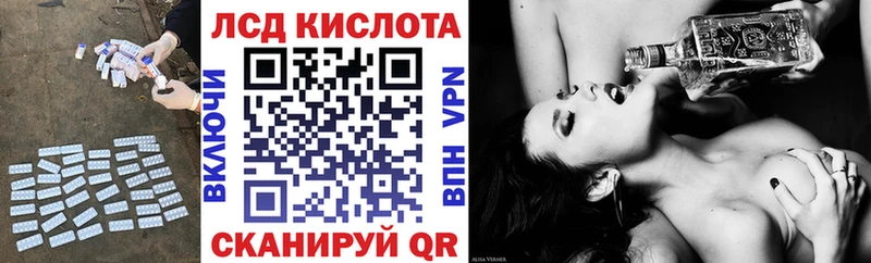 дарнет шоп Данилов Лсд 25 экстази кислота